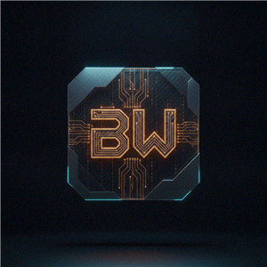 Bitwin